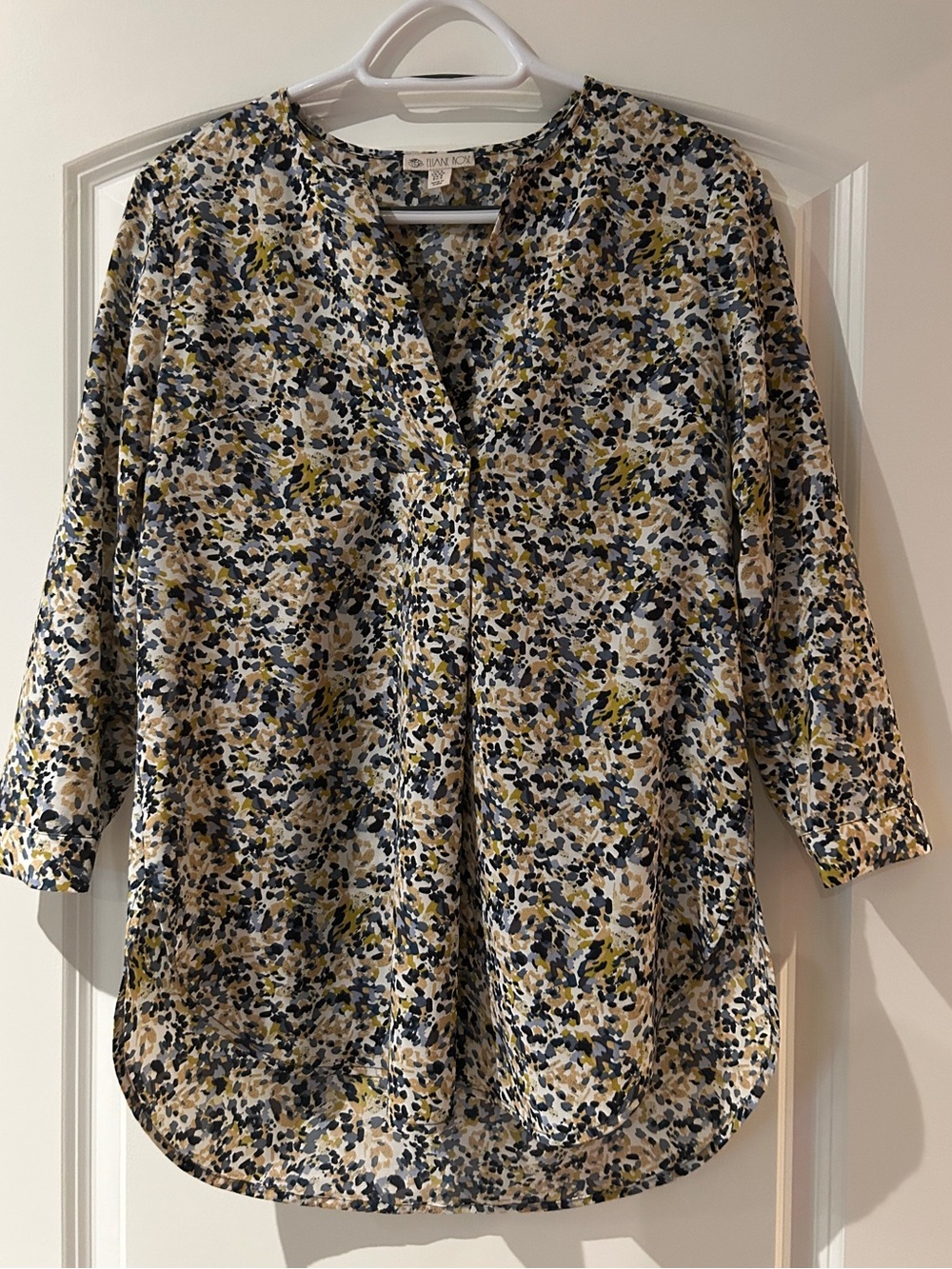 Eliane Rose Multicolor Print V-Neck Tunic